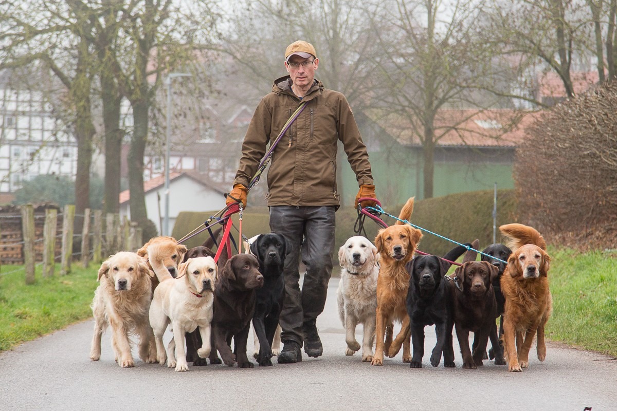 Jan Roßmann läuft mit 15 Hunden an der Leine