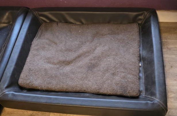 ein leeres Körbchen