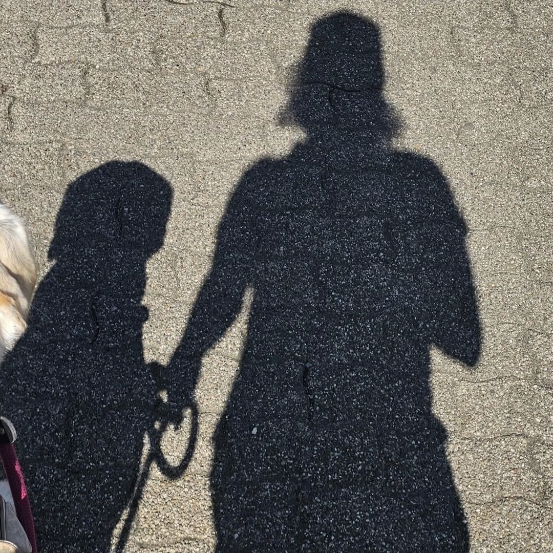 Schatten Führhund und Mensch