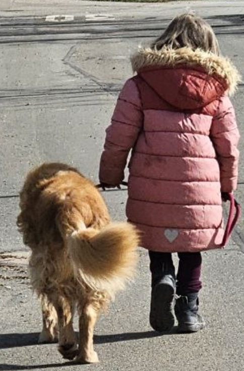 Rückansicht eines kleinen Mädchens, dass einen Golden Retriever an der Leine führt
